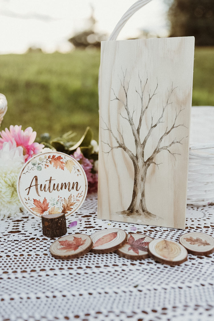 Four Seasons Tree Set | Wooden nature & Seasonal Learning Resource