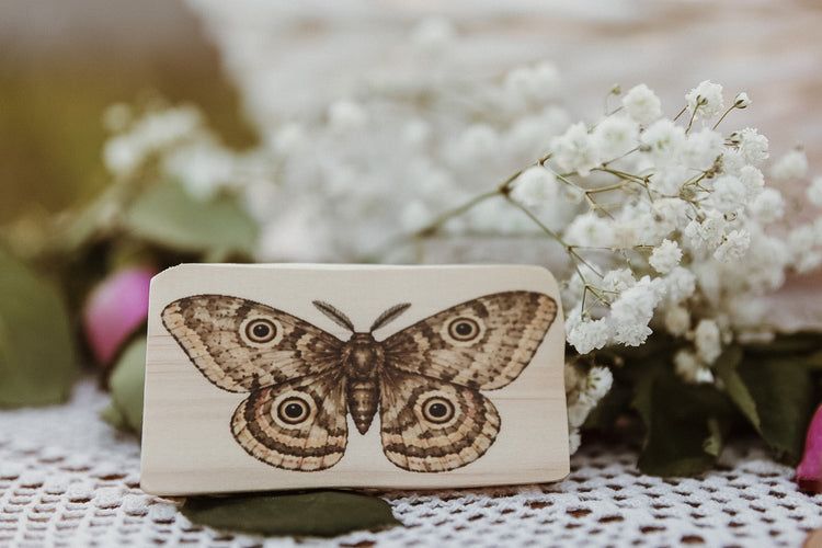 Insect Wing Matching Set | Hands On Nature & Science learning