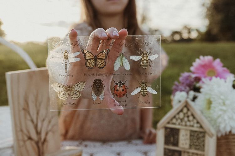 Insect Wing Matching Set | Hands On Nature & Science learning