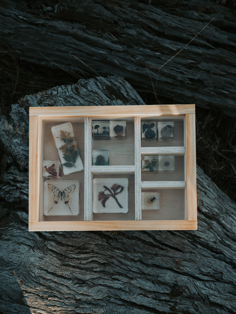 Moss and Maple Museum