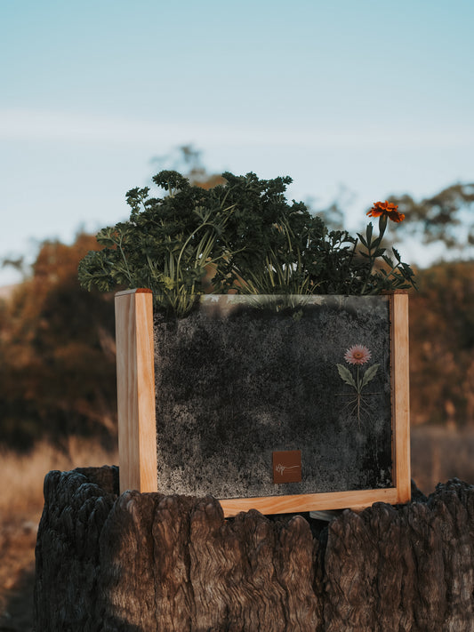 Garden Observer Grow Kit | Kid's Gardening & Seed Germination Learning Resource