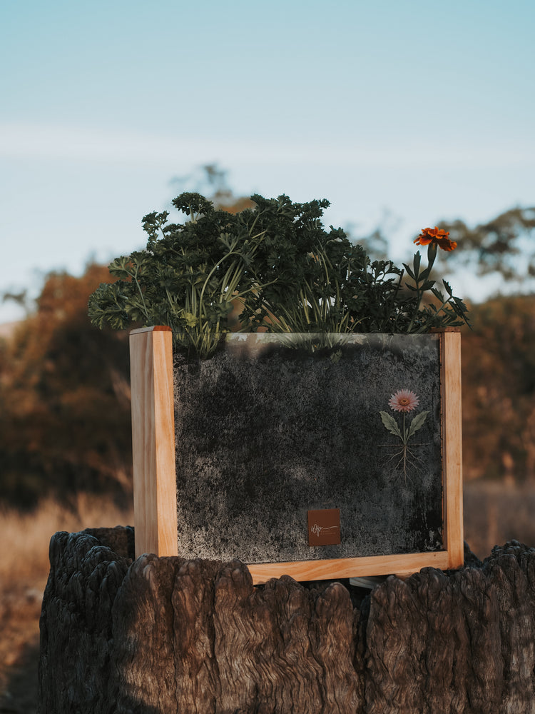 Garden Observer Grow Kit | Kid's Gardening & Seed Germination Learning Resource
