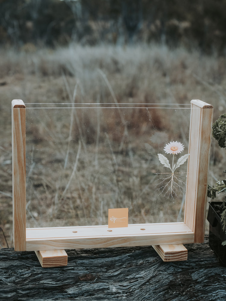 Garden Observer Grow Kit | Kid's Gardening & Seed Germination Learning Resource