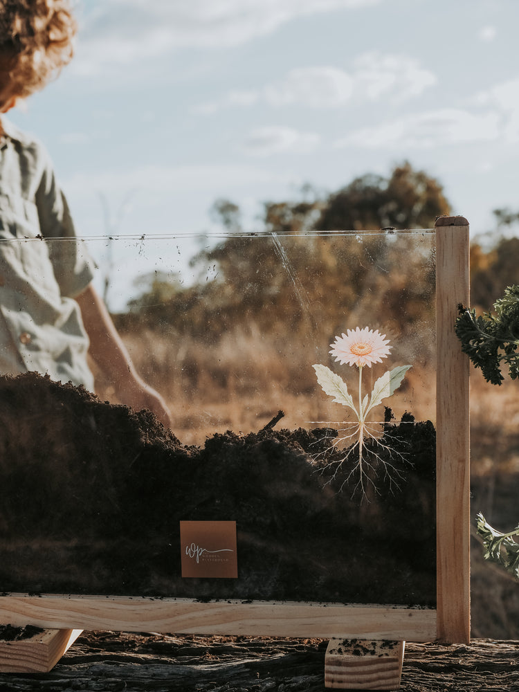 Garden Observer Grow Kit | Kid's Gardening & Seed Germination Learning Resource