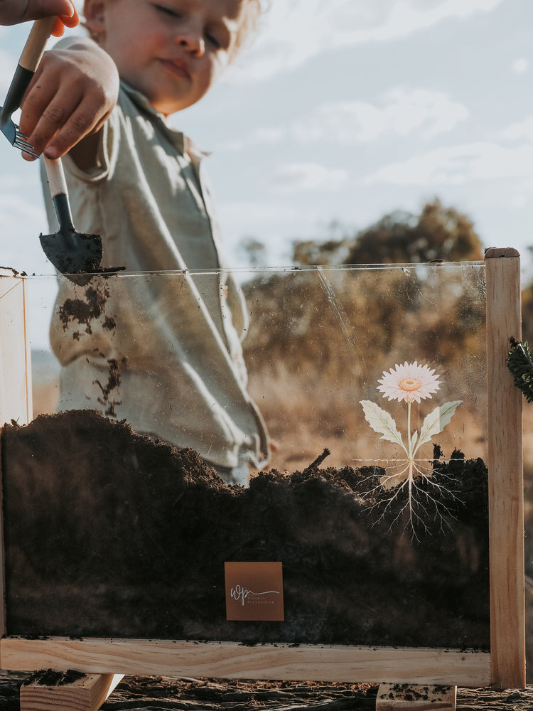 Garden Observer Grow Kit | Kid's Gardening & Seed Germination Learning Resource