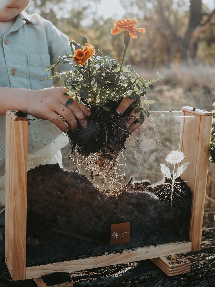 Garden Observer Grow Kit | Kid's Gardening & Seed Germination Learning Resource