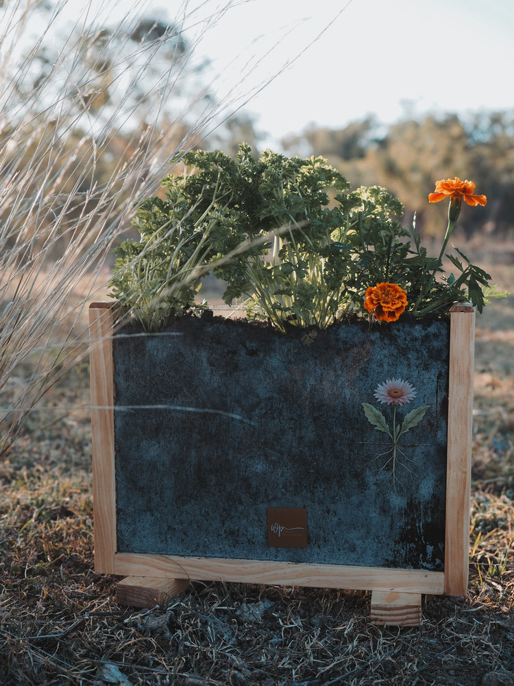 Garden Observer Grow Kit | Kid's Gardening & Seed Germination Learning Resource
