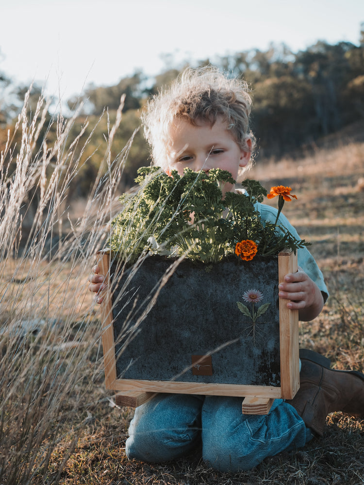 Garden Observer Grow Kit | Kid's Gardening & Seed Germination Learning Resource