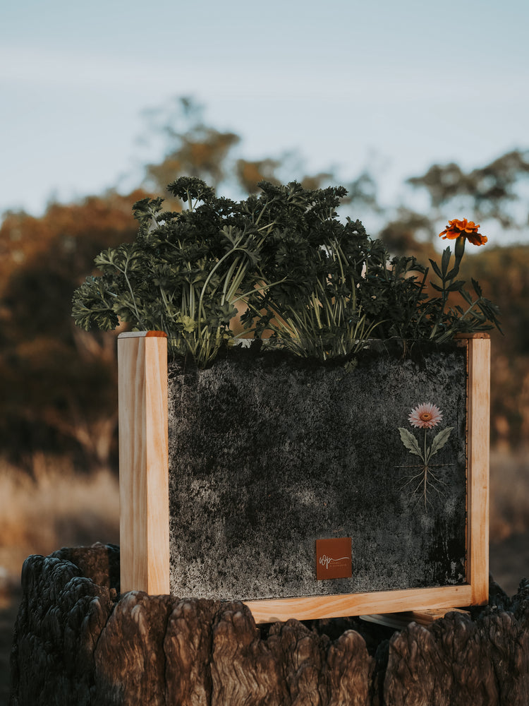 Garden Observer Grow Kit | Kid's Gardening & Seed Germination Learning Resource