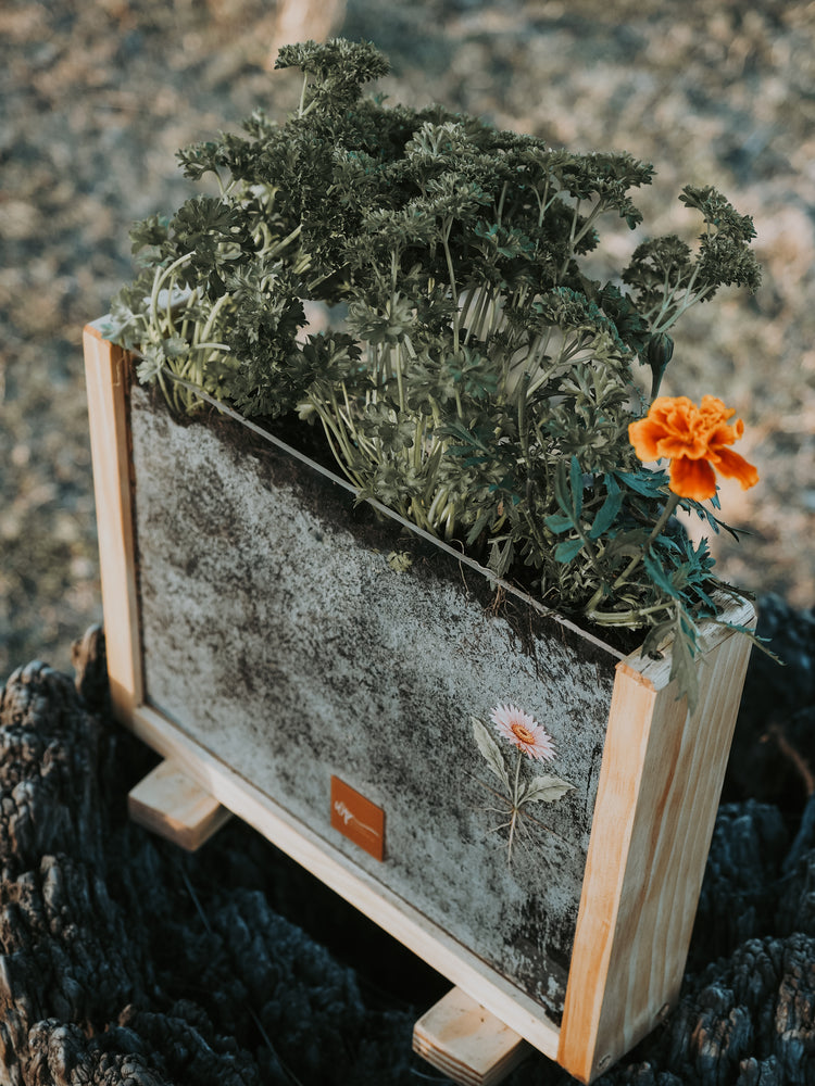 Garden Observer Grow Kit | Kid's Gardening & Seed Germination Learning Resource
