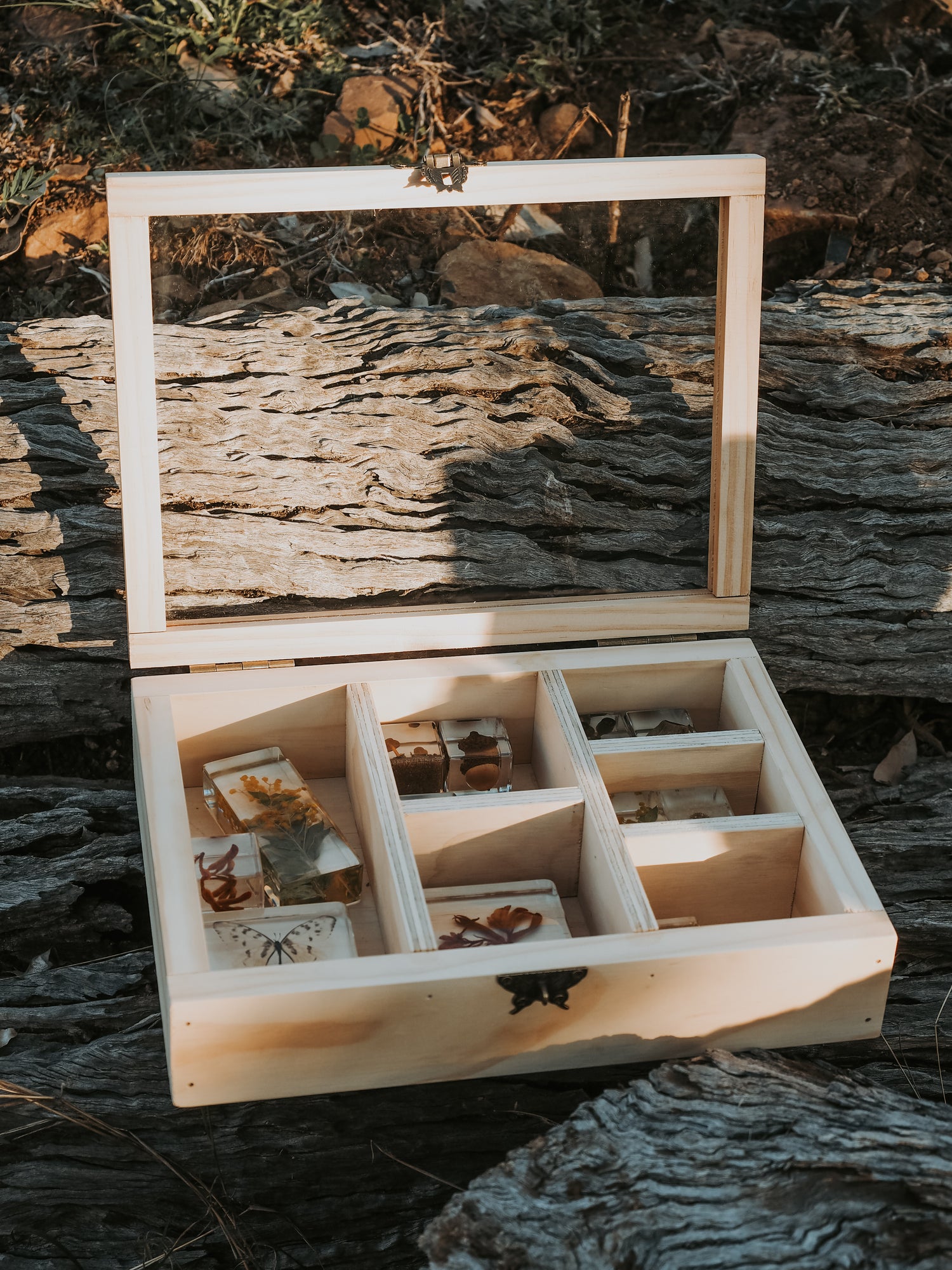Collecting natures treasures 