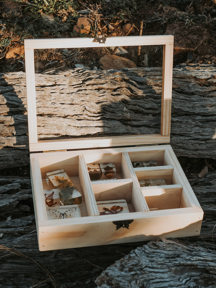 Collecting natures treasures 