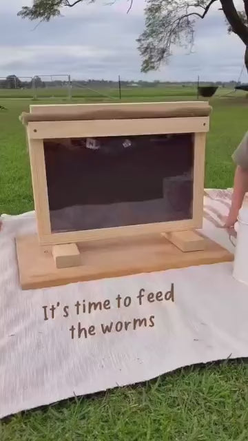 Worm farm observer (standard)