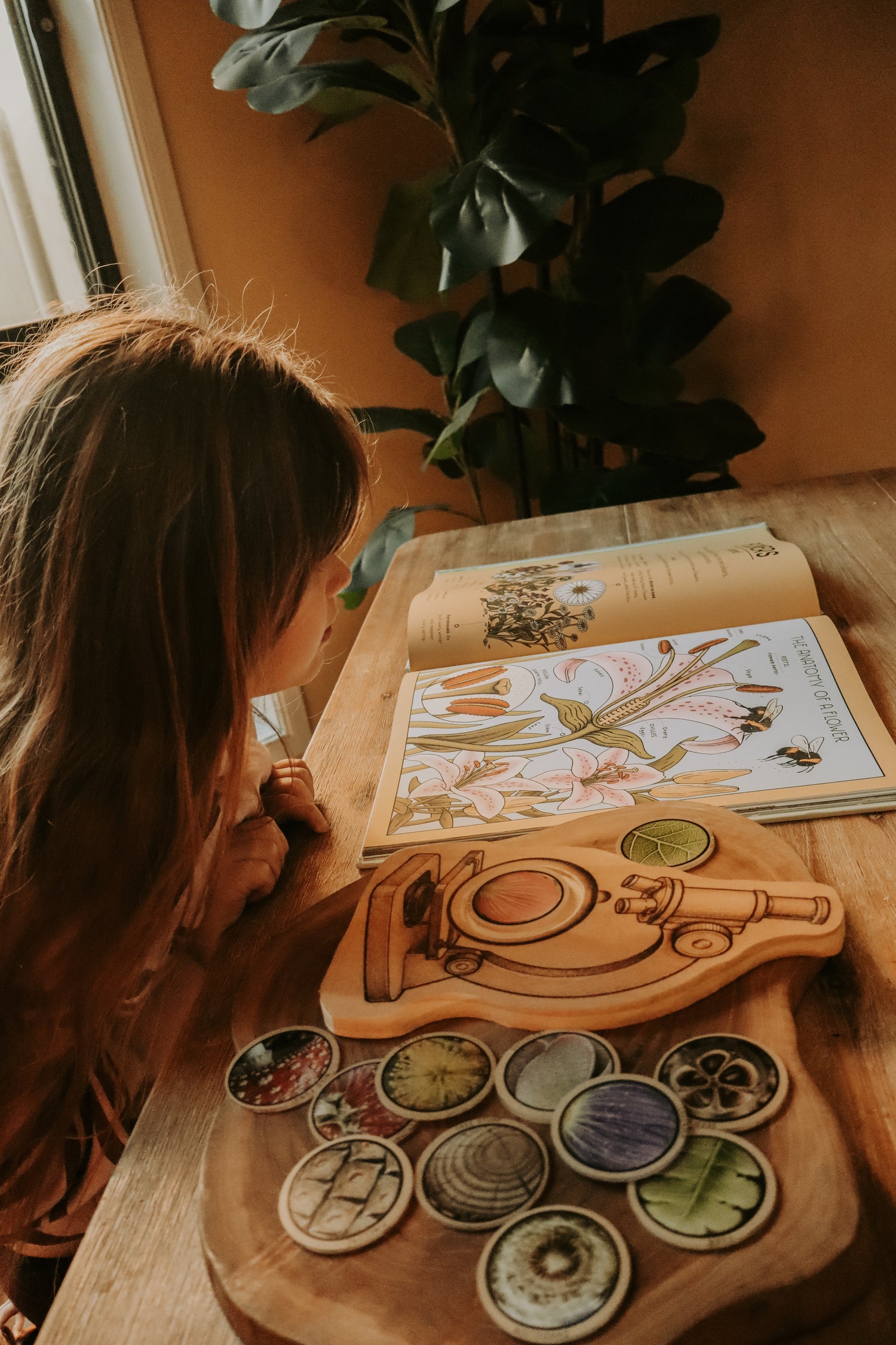 Nature printed discs 