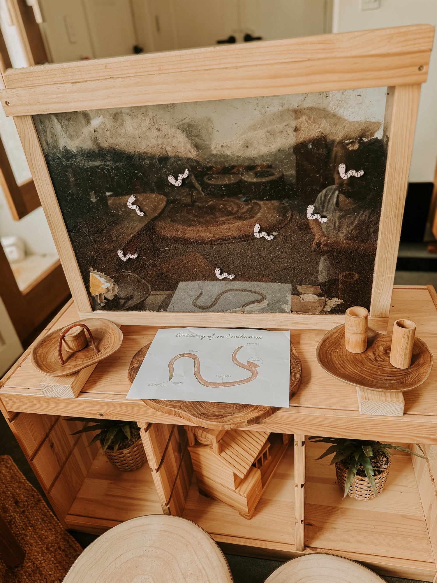 worm farm sustainability 